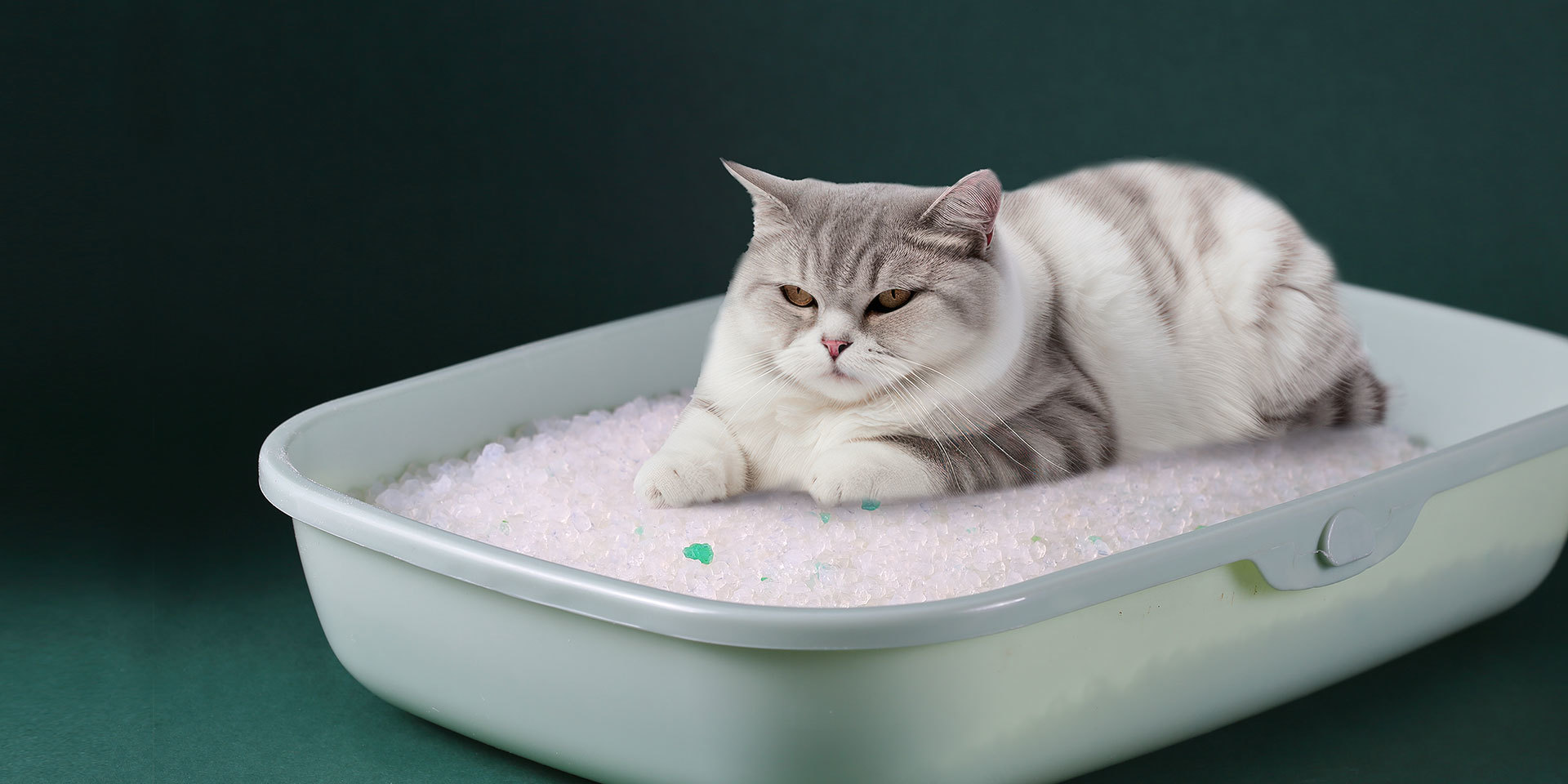 电脑幻灯片十一