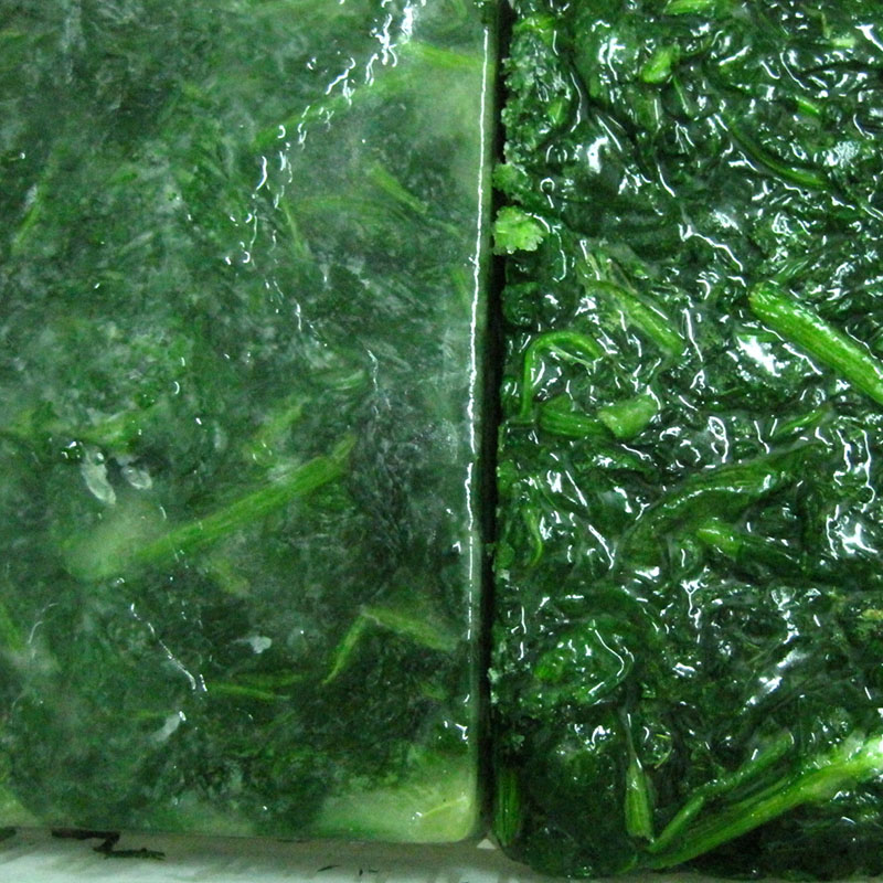 Spinach BQF leaf